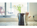 chinachinal7antminermanufacturers-small-0