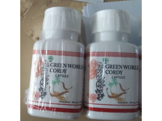Cordyceps Capsules Benefits For Male | 03008786895