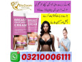 breast-enhancement-cream-in-bahawalpur-03210006111-small-2