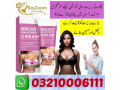 breast-enhancement-cream-in-hafizabad-03210006111-small-1