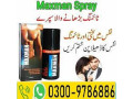 maxman-75000-timing-delay-spray-in-karachi-03009786886-small-0